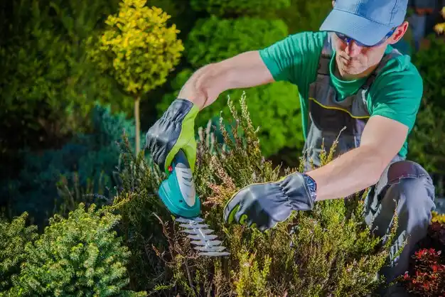 landscaping services Brecksville